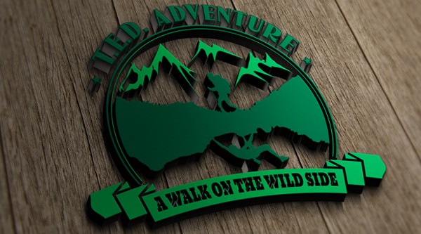 Logo for T.E.D. Adventure
